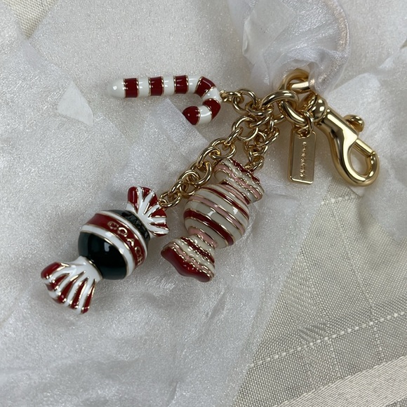 Coach Candy Cluster Mix Bag Charm - Picture 5 of 8